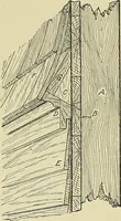 An illustration from Cyclopedia of architecture, carpentry, and building; a general reference work .. (1912)