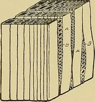 An illustration from Cyclopedia of architecture, carpentry, and building; a general reference work .. (1912)