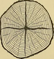 An illustration from Cyclopedia of architecture, carpentry, and building; a general reference work .. (1912)