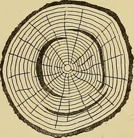 An illustration from Cyclopedia of architecture, carpentry, and building; a general reference work .. (1912)