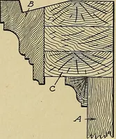 An illustration from Cyclopedia of architecture, carpentry, and building; a general reference work .. (1912)