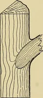 An illustration from Cyclopedia of architecture, carpentry, and building; a general reference work .. (1912)