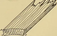 An illustration from Cyclopedia of architecture, carpentry, and building; a general reference work .. (1912)
