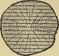 An illustration from Cyclopedia of architecture, carpentry, and building; a general reference work .. (1912)
