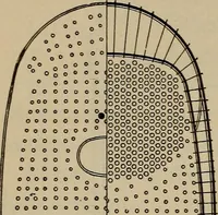 An illustration from Cyclopedia of locomotive engineering, with examination questions and answers; a practical manual on the construction care and management of modern locomotives (1916)