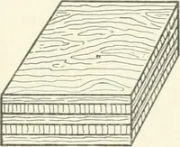 An illustration from Cyclopedia of mechanical engineering; a general reference work. Editor-in-chief Howard Monroe Raymond. Assisted by a corps of mechanical engineers, technical experts, and designers of the highest professional standing (1908)