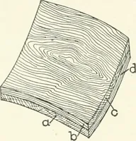 An illustration from Cyclopedia of mechanical engineering; a general reference work. Editor-in-chief Howard Monroe Raymond. Assisted by a corps of mechanical engineers, technical experts, and designers of the highest professional standing (1908)