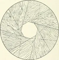 An illustration from Cyclopedia of mechanical engineering; a general reference work. Editor-in-chief Howard Monroe Raymond. Assisted by a corps of mechanical engineers, technical experts, and designers of the highest professional standing (1908)