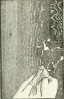 An illustration from Cyclopedia of painting : containing useful and valuable information on the following subjects : adulteration of paint, blistering of paint, brushes, calcimining, carriage painting, china painting, colors, color harmony, color mixing, color testing, exterior painting, gilding, graining, house painting, marbling, mildew, oils and driers, oil painting on glass, painting a bath tub, painting in distemper, paperhanger's tools, paperhanging, pigments, plain oil painting, primary colors, priming, scenic painting, sign painting, stains, staining, stencilling, turpentine, varnishes, varnishing, water color painting, when not to paint, practical points on painting, useful information (1908)