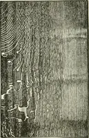 An illustration from Cyclopedia of painting : containing useful and valuable information on the following subjects : adulteration of paint, blistering of paint, brushes, calcimining, carriage painting, china painting, colors, color harmony, color mixing, color testing, exterior painting, gilding, graining, house painting, marbling, mildew, oils and driers, oil painting on glass, painting a bath tub, painting in distemper, paperhanger's tools, paperhanging, pigments, plain oil painting, primary colors, priming, scenic painting, sign painting, stains, staining, stencilling, turpentine, varnishes, varnishing, water color painting, when not to paint, practical points on painting, useful information (1908)