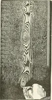 An illustration from Cyclopedia of painting : containing useful and valuable information on the following subjects : adulteration of paint, blistering of paint, brushes, calcimining, carriage painting, china painting, colors, color harmony, color mixing, color testing, exterior painting, gilding, graining, house painting, marbling, mildew, oils and driers, oil painting on glass, painting a bath tub, painting in distemper, paperhanger's tools, paperhanging, pigments, plain oil painting, primary colors, priming, scenic painting, sign painting, stains, staining, stencilling, turpentine, varnishes, varnishing, water color painting, when not to paint, practical points on painting, useful information (1908)