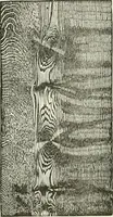 An illustration from Cyclopedia of painting : containing useful and valuable information on the following subjects : adulteration of paint, blistering of paint, brushes, calcimining, carriage painting, china painting, colors, color harmony, color mixing, color testing, exterior painting, gilding, graining, house painting, marbling, mildew, oils and driers, oil painting on glass, painting a bath tub, painting in distemper, paperhanger's tools, paperhanging, pigments, plain oil painting, primary colors, priming, scenic painting, sign painting, stains, staining, stencilling, turpentine, varnishes, varnishing, water color painting, when not to paint, practical points on painting, useful information (1908)
