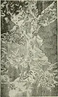 An illustration from Cyclopedia of painting : containing useful and valuable information on the following subjects : adulteration of paint, blistering of paint, brushes, calcimining, carriage painting, china painting, colors, color harmony, color mixing, color testing, exterior painting, gilding, graining, house painting, marbling, mildew, oils and driers, oil painting on glass, painting a bath tub, painting in distemper, paperhanger's tools, paperhanging, pigments, plain oil painting, primary colors, priming, scenic painting, sign painting, stains, staining, stencilling, turpentine, varnishes, varnishing, water color painting, when not to paint, practical points on painting, useful information (1908)