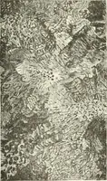 An illustration from Cyclopedia of painting : containing useful and valuable information on the following subjects : adulteration of paint, blistering of paint, brushes, calcimining, carriage painting, china painting, colors, color harmony, color mixing, color testing, exterior painting, gilding, graining, house painting, marbling, mildew, oils and driers, oil painting on glass, painting a bath tub, painting in distemper, paperhanger's tools, paperhanging, pigments, plain oil painting, primary colors, priming, scenic painting, sign painting, stains, staining, stencilling, turpentine, varnishes, varnishing, water color painting, when not to paint, practical points on painting, useful information (1908)
