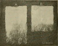 Picture 76 of 251 from Cyclopedia of textile work : a general reference library on cotton, woolen and worsted yarn manufacture, weaving, designing, chemistry and dyeing, finishing, knitting, and allied subjects (1911), leaf 124