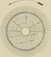 An illustration from Cyclopedia of textile work : a general reference library on cotton, woolen and worsted yarn manufacture, weaving, designing, chemistry and dyeing, finishing, knitting, and allied subjects (1911)