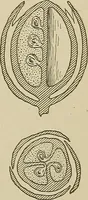 Picture 4 of 251 from Cyclopedia of textile work : a general reference library on cotton, woolen and worsted yarn manufacture, weaving, designing, chemistry and dyeing, finishing, knitting, and allied subjects (1911), leaf 21