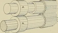 Picture 164 of 251 from Cyclopedia of textile work : a general reference library on cotton, woolen and worsted yarn manufacture, weaving, designing, chemistry and dyeing, finishing, knitting, and allied subjects (1911), leaf 249