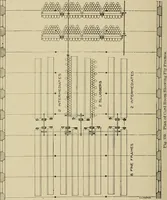 Picture 167 of 251 from Cyclopedia of textile work : a general reference library on cotton, woolen and worsted yarn manufacture, weaving, designing, chemistry and dyeing, finishing, knitting, and allied subjects (1911), leaf 254