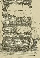 Picture 6 of 251 from Cyclopedia of textile work : a general reference library on cotton, woolen and worsted yarn manufacture, weaving, designing, chemistry and dyeing, finishing, knitting, and allied subjects (1911), leaf 27