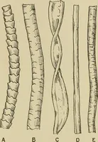 Picture 8 of 251 from Cyclopedia of textile work : a general reference library on cotton, woolen and worsted yarn manufacture, weaving, designing, chemistry and dyeing, finishing, knitting, and allied subjects (1911), leaf 30