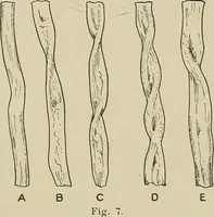 Picture 9 of 251 from Cyclopedia of textile work : a general reference library on cotton, woolen and worsted yarn manufacture, weaving, designing, chemistry and dyeing, finishing, knitting, and allied subjects (1911), leaf 31
