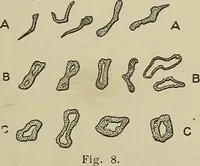 Picture 10 of 251 from Cyclopedia of textile work : a general reference library on cotton, woolen and worsted yarn manufacture, weaving, designing, chemistry and dyeing, finishing, knitting, and allied subjects (1911), leaf 31