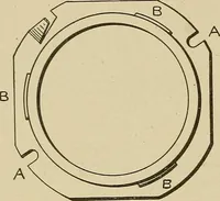 Picture 217 of 251 from Cyclopedia of textile work : a general reference library on cotton, woolen and worsted yarn manufacture, weaving, designing, chemistry and dyeing, finishing, knitting, and allied subjects (1911), leaf 320