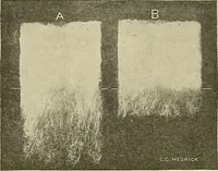 An illustration from Cyclopedia of textile work; a general reference library on cotton, woolen and worsted yarn manufacture, weaving, designing, chemistry and dyeing, finishing, knitting, and allied subjects (1911)