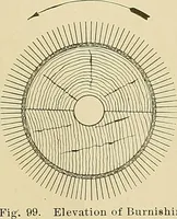 Picture 94 of 227 from Cyclopedia of textile work; a general reference library on cotton, woolen and worsted yarn manufacture, weaving, designing, chemistry and dyeing, finishing, knitting, and allied subjects (1911), leaf 165
