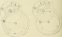 An illustration from Cyclopedia of textile work; a general reference library on cotton, woolen and worsted yarn manufacture, weaving, designing, chemistry and dyeing, finishing, knitting, and allied subjects (1911)