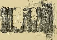 An illustration from Cyclopedia of textile work; a general reference library on cotton, woolen and worsted yarn manufacture, weaving, designing, chemistry and dyeing, finishing, knitting, and allied subjects (1911)