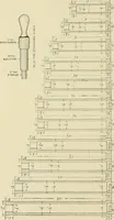 An illustration from Cyclopedia of textile work; a general reference library on cotton, woolen and worsted yarn manufacture, weaving, designing, chemistry and dyeing, finishing, knitting, and allied subjects (1911)
