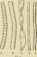 An illustration from Cyclopedia of textile work; a general reference library on cotton, woolen and worsted yarn manufacture, weaving, designing, chemistry and dyeing, finishing, knitting, and allied subjects (1911)