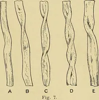An illustration from Cyclopedia of textile work; a general reference library on cotton, woolen and worsted yarn manufacture, weaving, designing, chemistry and dyeing, finishing, knitting, and allied subjects (1911)