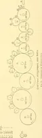 Picture 56 of 171 from Cyclopedia of textile work : a general reference library on cotton, woollen and worsted yarn manufacture, weaving, designing, chemistry and dyeing, finishing, knitting, and allied subjects (1907), leaf 116