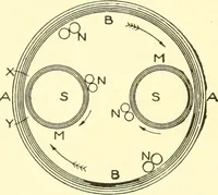 Picture 97 of 171 from Cyclopedia of textile work : a general reference library on cotton, woollen and worsted yarn manufacture, weaving, designing, chemistry and dyeing, finishing, knitting, and allied subjects (1907), leaf 204