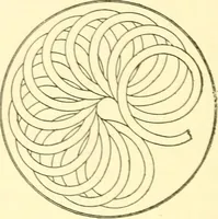 Picture 105 of 171 from Cyclopedia of textile work : a general reference library on cotton, woollen and worsted yarn manufacture, weaving, designing, chemistry and dyeing, finishing, knitting, and allied subjects (1907), leaf 212