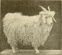 Picture 6 of 171 from Cyclopedia of textile work : a general reference library on cotton, woollen and worsted yarn manufacture, weaving, designing, chemistry and dyeing, finishing, knitting, and allied subjects (1907), leaf 27