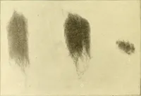 Picture 8 of 171 from Cyclopedia of textile work : a general reference library on cotton, woollen and worsted yarn manufacture, weaving, designing, chemistry and dyeing, finishing, knitting, and allied subjects (1907), leaf 28
