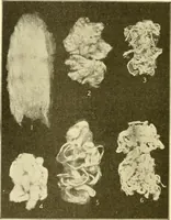 Picture 11 of 171 from Cyclopedia of textile work : a general reference library on cotton, woollen and worsted yarn manufacture, weaving, designing, chemistry and dyeing, finishing, knitting, and allied subjects (1907), leaf 34