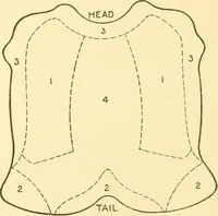 Picture 17 of 171 from Cyclopedia of textile work : a general reference library on cotton, woollen and worsted yarn manufacture, weaving, designing, chemistry and dyeing, finishing, knitting, and allied subjects (1907), leaf 50