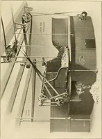 Picture 19 of 171 from Cyclopedia of textile work : a general reference library on cotton, woollen and worsted yarn manufacture, weaving, designing, chemistry and dyeing, finishing, knitting, and allied subjects (1907), leaf 53
