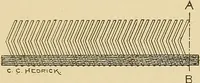 An illustration from Cyclopedia of textile work; (1907)