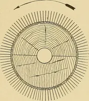 An illustration from Cyclopedia of textile work; (1907)