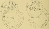 An illustration from Cyclopedia of textile work; (1907)