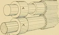 An illustration from Cyclopedia of textile work; (1907)