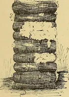 An illustration from Cyclopedia of textile work; (1907)