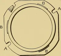 An illustration from Cyclopedia of textile work; (1907)