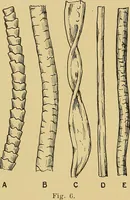 An illustration from Cyclopedia of textile work; (1907)